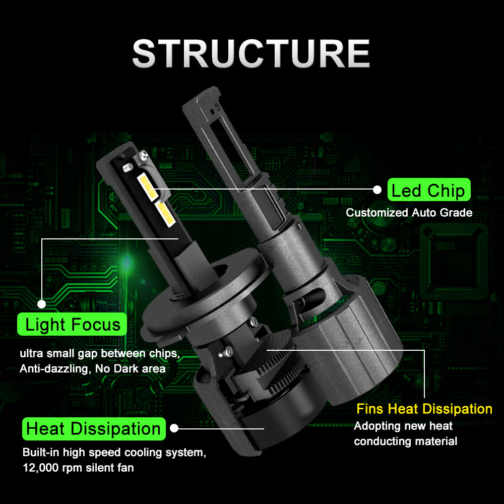 JG-P19 Bulbs