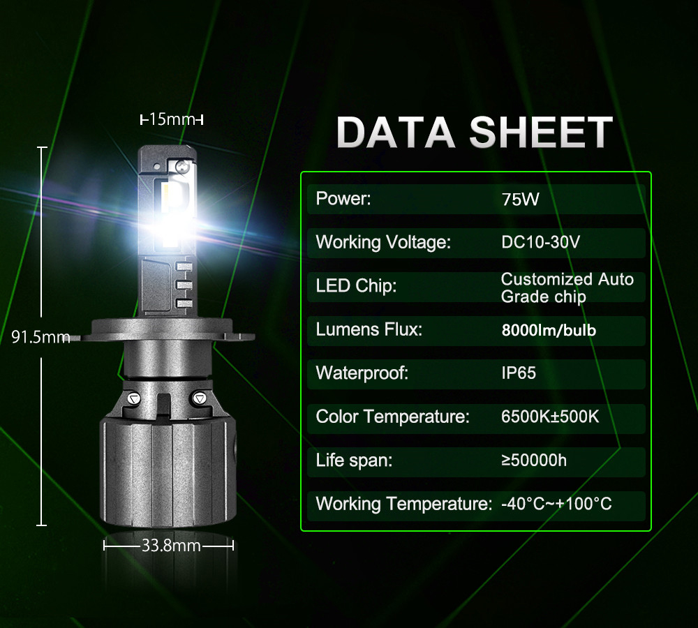 JG-P19 Bulbs